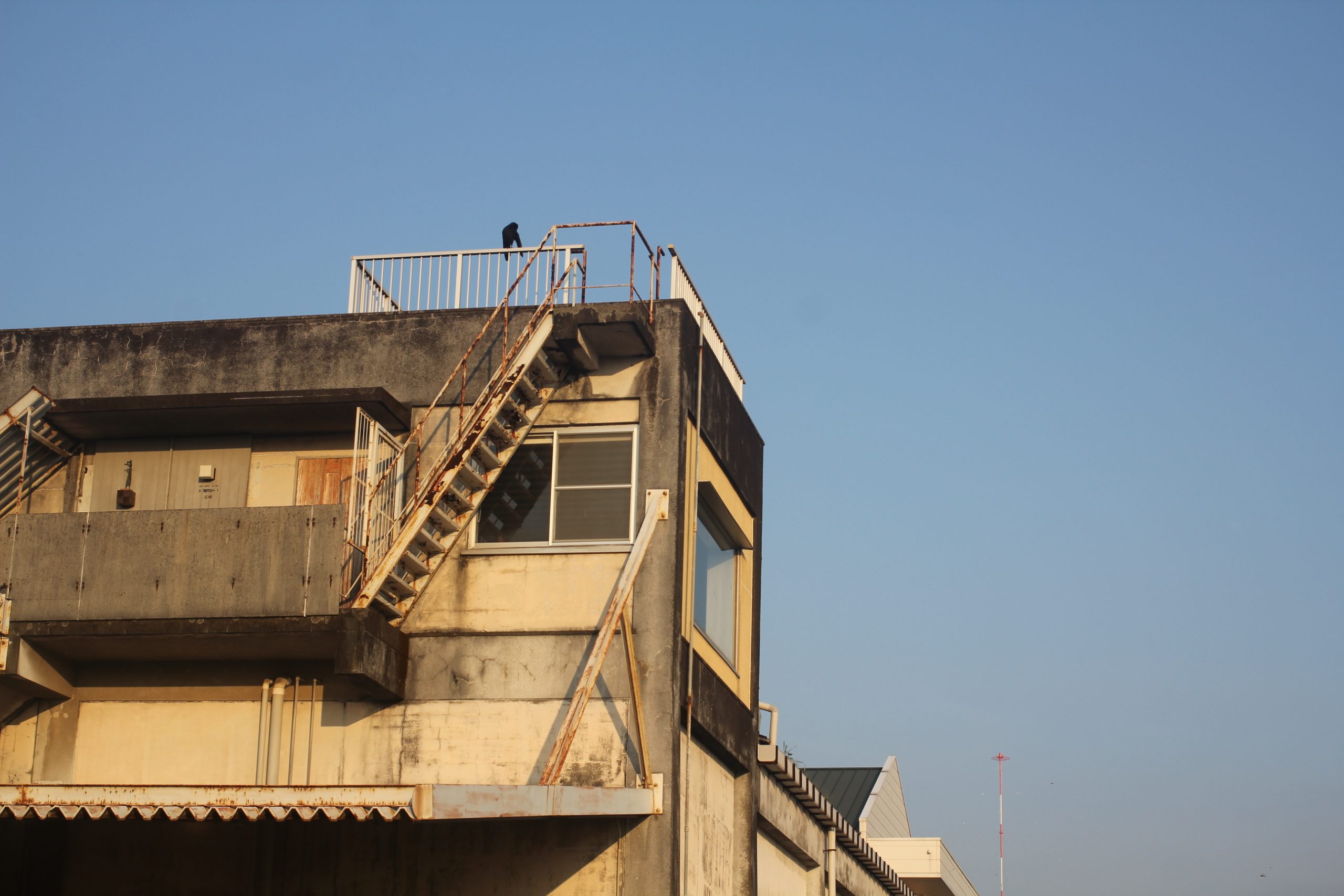 年末年始営業のお知らせ